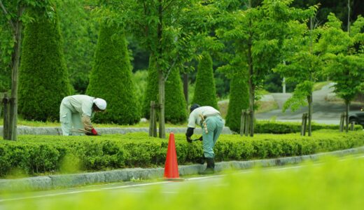 植栽管理の基本と実践ガイド：美しいお庭を維持する秘訣