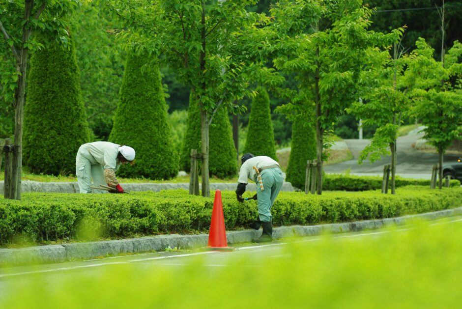 植栽管理