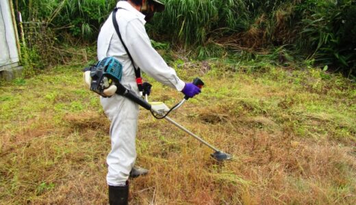 雑草伐採の完全ガイド：時期・道具・安全対策を徹底解説