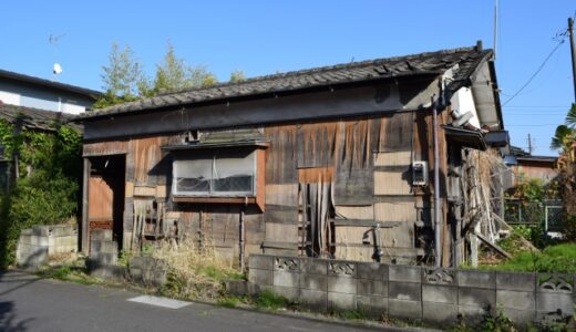 空き家の庭木管理と伐採｜近隣トラブル防止の完全ガイド