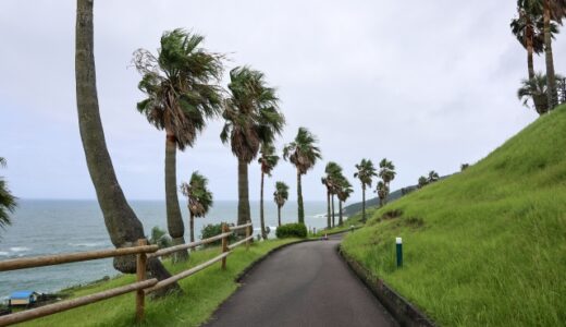 庭木管理の基本と応用：台風・地震に備える対策術