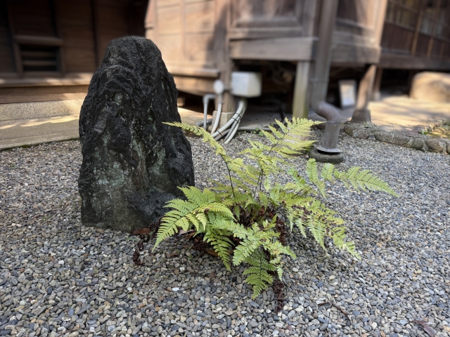 庭石