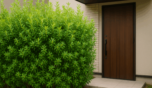 【プロ直伝】玄関の目隠しを植物で作る方法とは？