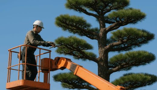 【ハウツーガイド】松の剪定時期・方法・道具から費用相場まで徹底解説！