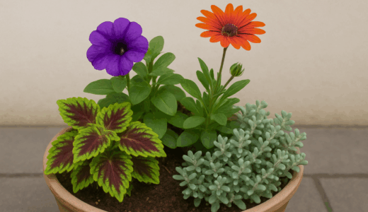 【季節別ガイド】おしゃれな寄せ植えアイデア集｜春夏秋冬の植物選びから作り方まで